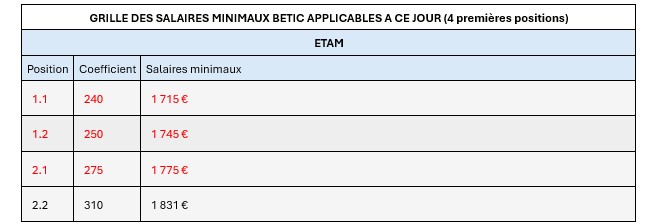 Grille salaires minimaux BETIC