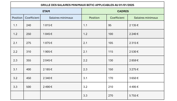 Grille des salaires minimaux BETIC applicable au plus toto 01/01/2025